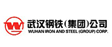 武汉钢铁集团公司